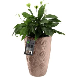 Vaso da giardino KADAX - Beige - 48,5cm Vaso da giardino KADAX - Beige - 48,5cm