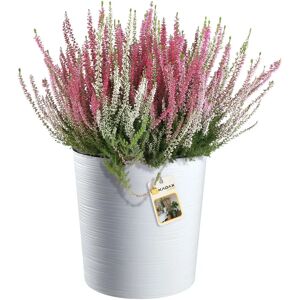 Kadax Eco-Friendly White Flower Pot Cover - 30cm Flower Support Kadax Eco-Friendly White Flower Pot Cover - 30cm Flower Support