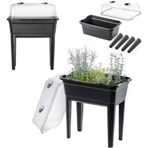 KADAX Large Mini Greenhouse - Home Greenhouse Seedlings 60cm KADAX Large Mini Greenhouse - Home Greenhouse Seedlings 60cm