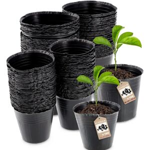 KADAX 200x Production Pot Flower Pots 6+9.5cm for seedlings Seedlings Soft - Plant Pots KADAX 200x Production Pot Flower Pots 6+9.5cm for seedlings Seedlings Soft - Plant Pots