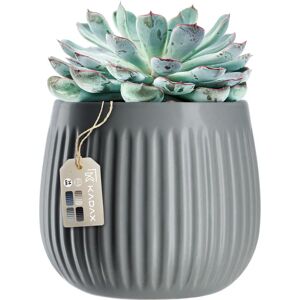 KADAX Ceramic Flower Pot 14cm Grey - Flower Pot KADAX Ceramic Flower Pot 14cm Grey - Flower Pot