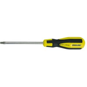 Tournevis manuel Pro Line Studio ZR10185 - Torx T9 - Publicité Tournevis manuel Pro Line Studio ZR10185 - Torx T9 - Publicité