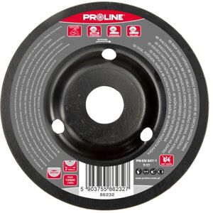 Proline Tools 86232 Accessoire pour Meuleuse - Disque Râpe Incliné, 125mm - Publicité Proline Tools 86232 Accessoire pour Meuleuse - Disque Râpe Incliné, 125mm - Publicité