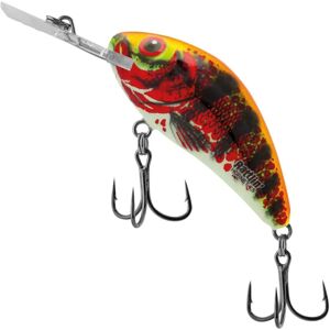 Salmo Hornet Rattlin Schwimmend Holo Red Perch - 4,5cm 6g Salmo Hornet Rattlin Schwimmend Holo Red Perch - 4,5cm 6g