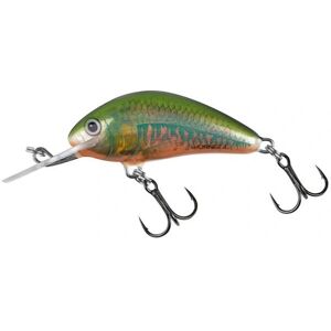 Salmo Hornet Sinking Minnow - 5 Cm - Angelköder Salmo Hornet Sinking Minnow - 5 Cm - Angelköder