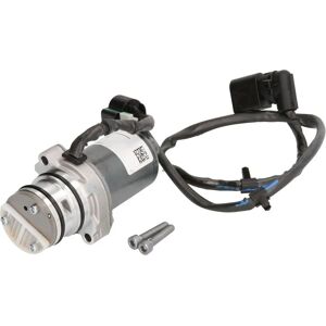 Borgwarner BW22765779 4x4 Öljypumppu Borgwarner BW22765779 4x4 Öljypumppu