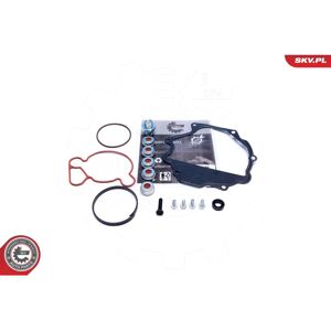 Esen SKV 18SKV809 Reparaturset für Vakuumpumpe - Autozubehör Esen SKV 18SKV809 Reparaturset für Vakuumpumpe - Autozubehör