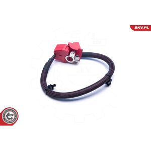 ESEN SKV 96SKV315 Adaptador de batería - Adaptador de batería para BMW ESEN SKV 96SKV315 Adaptador de batería - Adaptador de batería para BMW