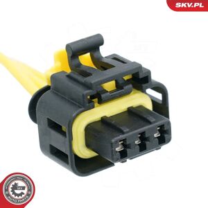 ESEN SKV 53SKV113 - Common-Rail-System ESEN SKV 53SKV113 - Common-Rail-System