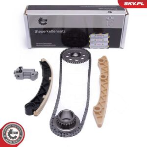 ESEN SKV 21SKV253 Jeu de distribution à chaînes à faible bruit - Timing Chain Set - Publicité ESEN SKV 21SKV253 Jeu de distribution à chaînes à faible bruit - Timing Chain Set - Publicité
