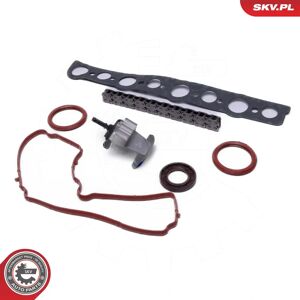 Land Rover ESEN SKV 21SKV254 Kit chaîne de distribution - Timing Chain Set - Publicité Land Rover ESEN SKV 21SKV254 Kit chaîne de distribution - Timing Chain Set - Publicité