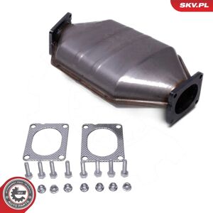 Filtro de Partículas ESEN SKV 62SKV519 para BMW Filtro de Partículas ESEN SKV 62SKV519 para BMW