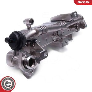 ESEN SKV 14SKV239 Válvula EGR para BMW X1 X5 - Válvula EGR ESEN SKV 14SKV239 Válvula EGR para BMW X1 X5 - Válvula EGR