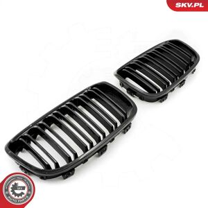 ESEN SKV 66SKV016 Grille de radiateur noire brillante - Pièce auto - Publicité ESEN SKV 66SKV016 Grille de radiateur noire brillante - Pièce auto - Publicité