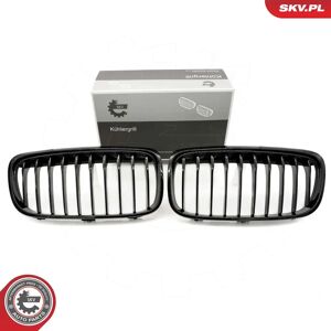 ESEN SKV 66SKV039 Parrilla de radiador - BMW 2 Serie ESEN SKV 66SKV039 Parrilla de radiador - BMW 2 Serie