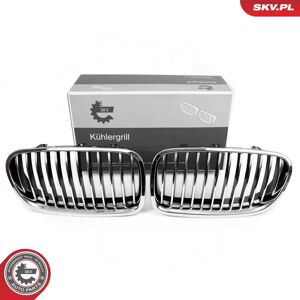 ESEN SKV 66SKV182 Parrilla de radiador cromada BMW - Radiator Grill ESEN SKV 66SKV182 Parrilla de radiador cromada BMW - Radiator Grill