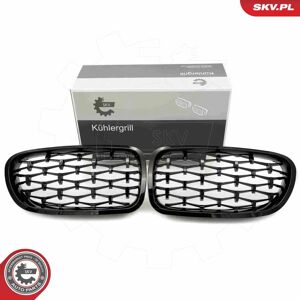 Parrilla de radiador BMW Serie 5 - OEM Negro Brillante Parrilla de radiador BMW Serie 5 - OEM Negro Brillante