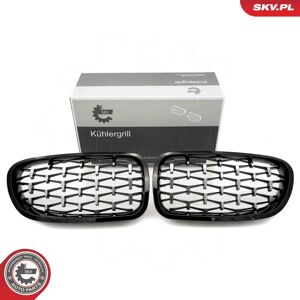 ESEN SKV 66SKV191 Rejilla del radiador BMW - Negro Plata Brillante ESEN SKV 66SKV191 Rejilla del radiador BMW - Negro Plata Brillante