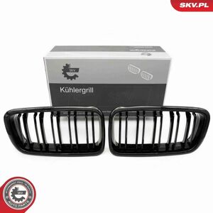 ESEN SKV 66SKV216 Rejilla de radiador negra brillante - Rejilla de radiador ESEN SKV 66SKV216 Rejilla de radiador negra brillante - Rejilla de radiador