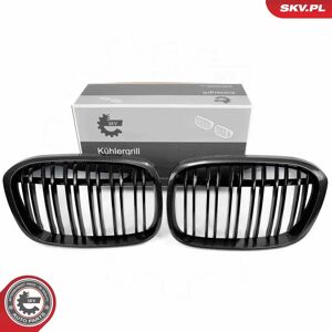 ESEN SKV 66SKV241 BMW X1 - Rejilla de radiador en carbono ESEN SKV 66SKV241 BMW X1 - Rejilla de radiador en carbono