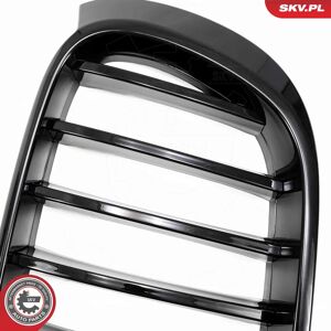 ESEN SKV 66SKV254 Parilla de radiador negra brillante para BMW X3 X4 ESEN SKV 66SKV254 Parilla de radiador negra brillante para BMW X3 X4