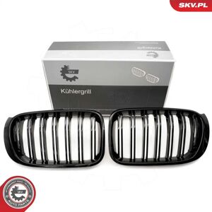 ESEN SKV 66SKV255 Schwarze BMW Kühlergrill - Radiator Grill ESEN SKV 66SKV255 Schwarze BMW Kühlergrill - Radiator Grill