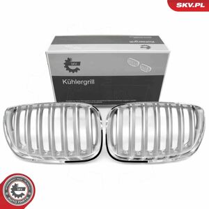ESEN SKV 66SKV279 Parrilla del radiador cromada - Radiator Grill ESEN SKV 66SKV279 Parrilla del radiador cromada - Radiator Grill