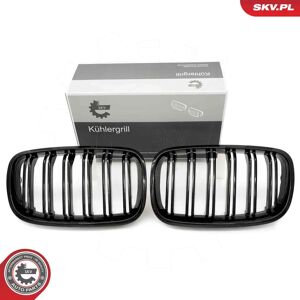 Rejilla del Radiador ESEN SKV 66SKV287 - BMW X5 Rejilla del Radiador ESEN SKV 66SKV287 - BMW X5