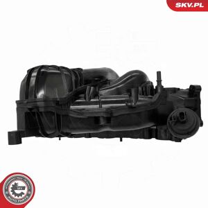 ESEN SKV 49SKV085 Módulo colector de admisión para Ford Mondeo 3 ESEN SKV 49SKV085 Módulo colector de admisión para Ford Mondeo 3