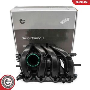 Esen Skv 49SKV087 Módulo de admisión para VW Polo Golf 7 Esen Skv 49SKV087 Módulo de admisión para VW Polo Golf 7