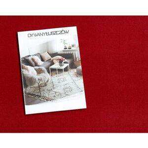 RugsX Rumba Runner - Anti-slip Hallway Rug - Burgundy 100x650cm RugsX Rumba Runner - Anti-slip Hallway Rug - Burgundy 100x650cm