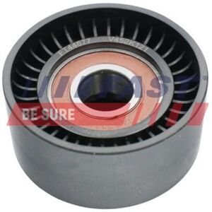 Automega 160026010 Tensor de Correa para Ford Transit - Tensor, Polea Automega 160026010 Tensor de Correa para Ford Transit - Tensor, Polea