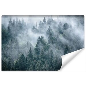 Karo-art Mistig bos behang - 450x300cm Karo-art Mistig bos behang - 450x300cm