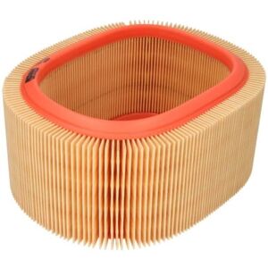Filtron Filtro aria Renault Clio Megane AR 131 - Filtro aria Filtron Filtro aria Renault Clio Megane AR 131 - Filtro aria