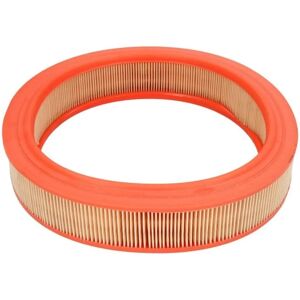 Filtro Ar Filtron AR 306 - Compatibile con Ford Sierra, GM, Durevole Filtro Ar Filtron AR 306 - Compatibile con Ford Sierra, GM, Durevole