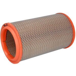 Filtron AR 318 - Filtro aria Fiat Barchetta - Compatibile OEM Filtron AR 318 - Filtro aria Fiat Barchetta - Compatibile OEM