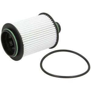 Filtron OE 682/1 Filtro olio - Cartuccia filtrante, compatibile con Cadillac, Chevrolet, Opel, Saab Filtron OE 682/1 Filtro olio - Cartuccia filtrante, compatibile con Cadillac, Chevrolet, Opel, Saab