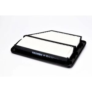 Filtron AP 105/2 - Filtro aria Filtron AP 105/2 - Filtro aria