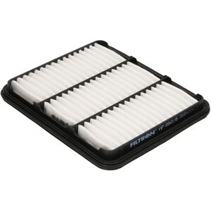 Filtron AP 082/8 - Luftfilter Filtron AP 082/8 - Luftfilter