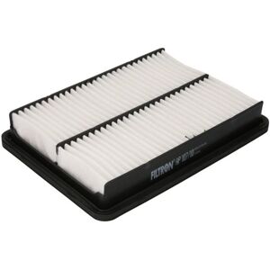 Filtron AP 107/10 Luftfilter - Hyundai Santa Kia Sorento Filtron AP 107/10 Luftfilter - Hyundai Santa Kia Sorento