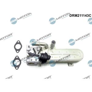 Dr.Motor Automotive Exhaust Gas Recirculation Cooler - Suitable for Audi A3, Seat Altea, VW Passat Dr.Motor Automotive Exhaust Gas Recirculation Cooler - Suitable for Audi A3, Seat Altea, VW Passat