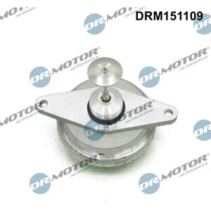 Válvula EGR neumática DRM151109 - Recirculación de gases de escape Válvula EGR neumática DRM151109 - Recirculación de gases de escape