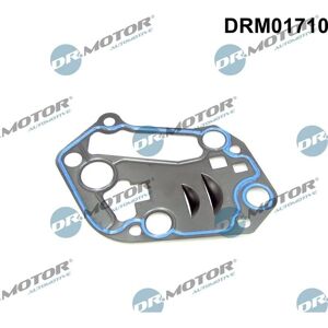 Dr.motor Automotive Ölfiltergehäuse Dichtung - Audi A4 A6 Passat Dr.motor Automotive Ölfiltergehäuse Dichtung - Audi A4 A6 Passat