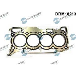 Junta de Culata DRM18213 - Renault Megane Scenic 3 Junta de Culata DRM18213 - Renault Megane Scenic 3