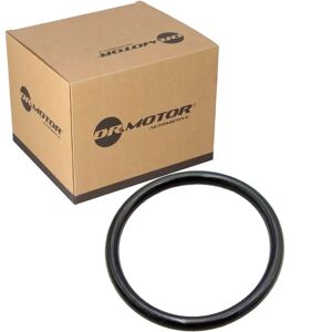 Dr.motor Zylinderkopf Dichtung - Ansaugkrümmer - Für Citroën Jumper, Fiat Ducato, Ford Dr.motor Zylinderkopf Dichtung - Ansaugkrümmer - Für Citroën Jumper, Fiat Ducato, Ford