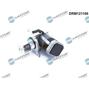 Válvula EGR eléctrica DR.MOTOR AUTOMOTIVE DRM121106 para Mercedes-Benz Válvula EGR eléctrica DR.MOTOR AUTOMOTIVE DRM121106 para Mercedes-Benz