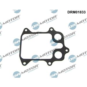 Junta de radiador de aceite Dr.motor para Audi A1 A3 Seat Alhambra Junta de radiador de aceite Dr.motor para Audi A1 A3 Seat Alhambra