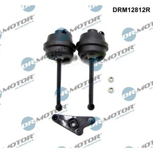 Dr.motor Clk Cls Saugrohrmodul Reparatursatz - Autoersatzteil Dr.motor Clk Cls Saugrohrmodul Reparatursatz - Autoersatzteil