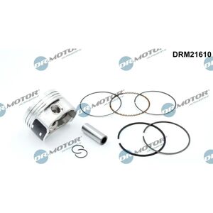 Dr.Motor DRM21610 - Pistón OEM para SEAT, SKODA, VW Dr.Motor DRM21610 - Pistón OEM para SEAT, SKODA, VW