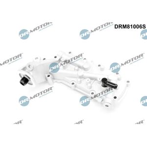 Filtro de Aceite Dr.Motor Automotive DRM81006S - OEM para Hyundai, Kia Filtro de Aceite Dr.Motor Automotive DRM81006S - OEM para Hyundai, Kia
